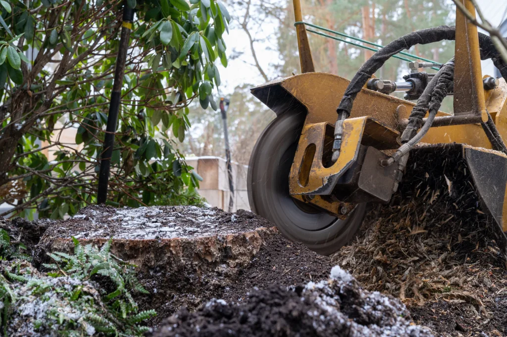 Stump Grinding Stockport