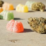How Long Does It Take for CBD Gummies to Work?