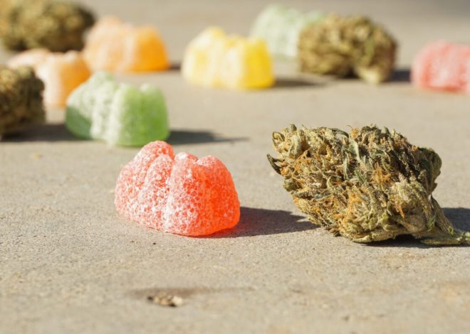 How Long Does It Take for CBD Gummies to Work?